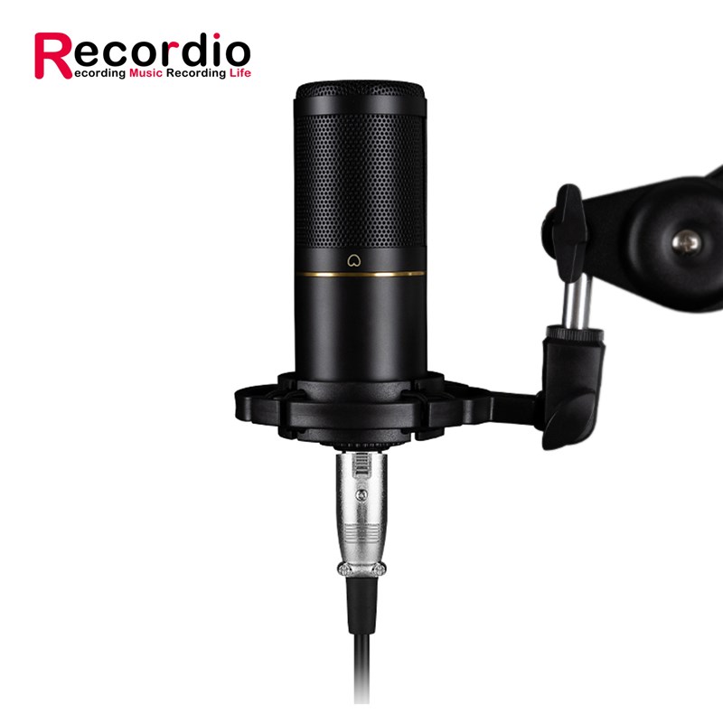 新电容麦克风主播录音会议唱歌直播设备声卡48v大振X膜全金属话筒