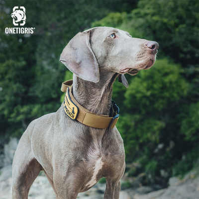 壹虎【k9】战术狗狗项圈中型大型犬防爆冲脖套颈绳遛狗防勒舒适
