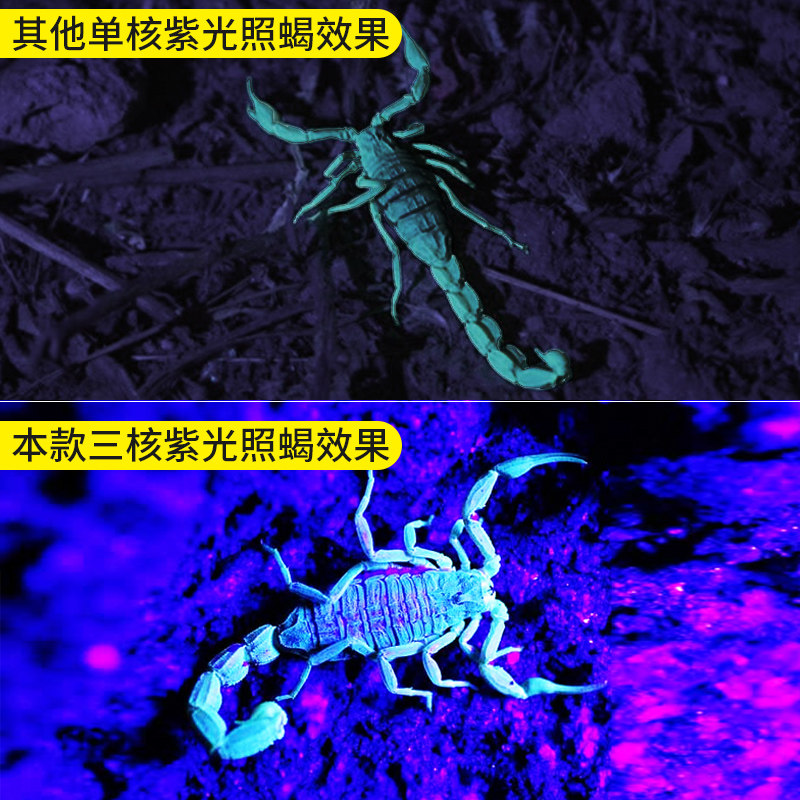银诺蝎子灯充电手提手电筒超亮户外照蝎子强光紫光灯超长续航