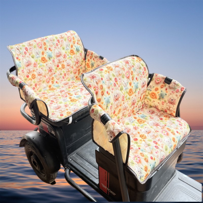 机洗电动三轮车防漏防风坐垫套通用靠背坐垫一体爱迪台铃新日