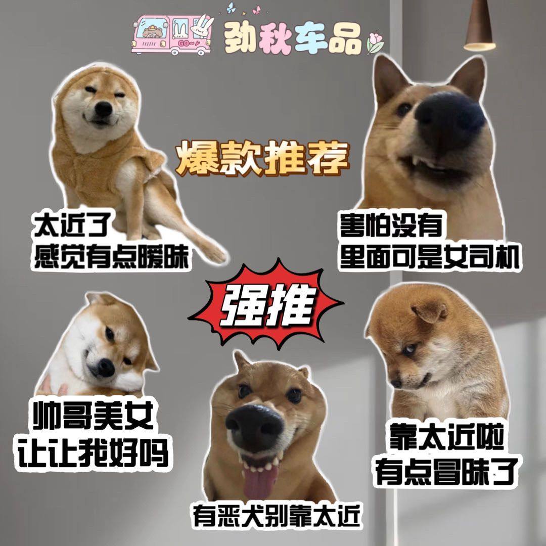 网红狗子搞笑文字车贴搞笑表情包个性创意装饰贴防水后窗玻璃贴画