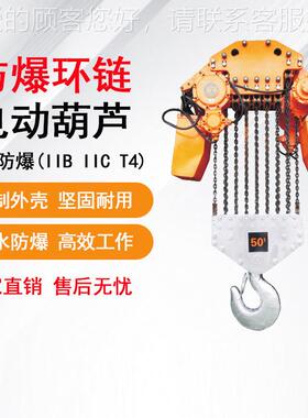 环链220v00v葫8芦提升机KDA1吨2吨33吨5吨1吨防爆葫芦吊