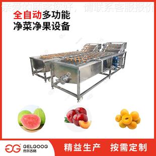 李产子清洗 设备 水厂水果洗果果清洗生流水线机BIY械李子清洗机