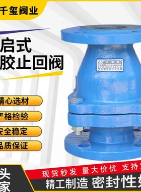 H44J立式止回阀 衬胶止回阀 旋启式衬胶止回阀 旋启式法兰向阀