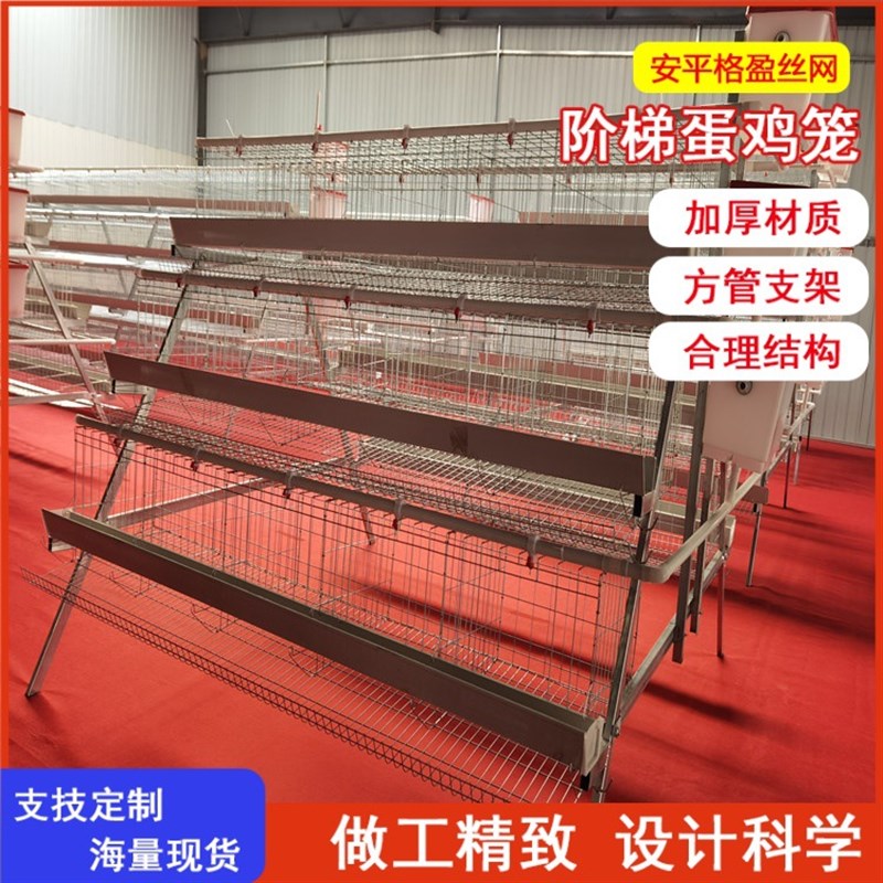 厂家零售各种规格阶梯蛋鸡笼冷热镀锌结实耐用