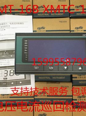 XMTC-16B 亚泰电压电流巡回检测仪 XMTC-16T电流电压稳压器检测仪