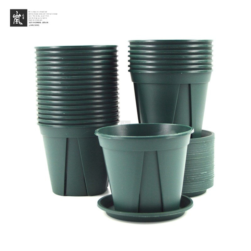 套餐丨【25个装】国产青山1#控根盆 月季植物+伦塑料花盆