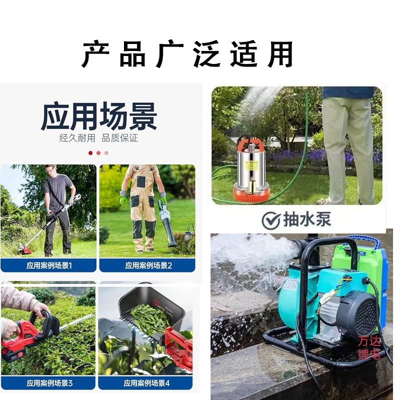 锂电池24v48V割草机剪枝采茶机抽水泵60v园林工具通用背负式电瓶