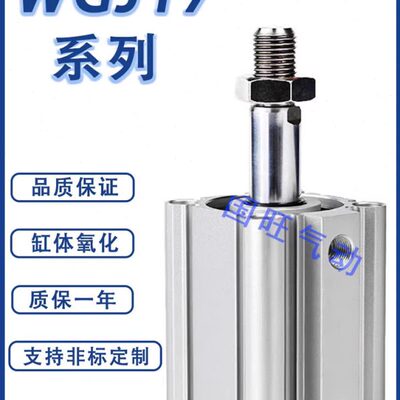 气缸WGJ05/06/16/17-32/40/50/63-10 15 20 25 30 35 45 60-Y/N-2