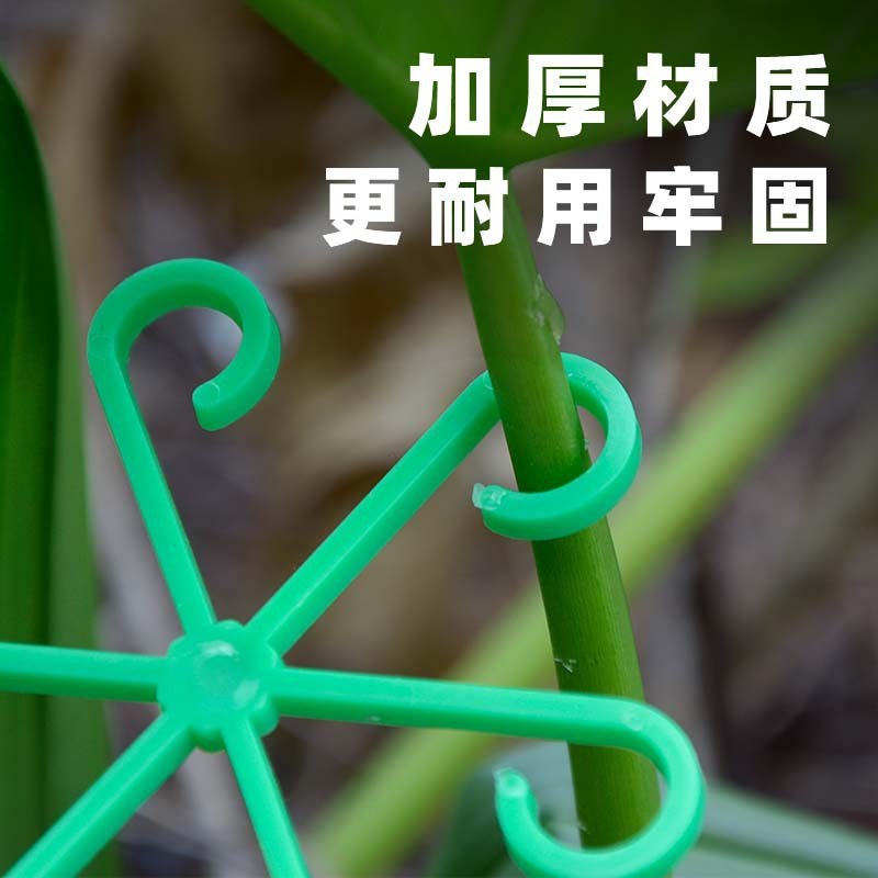 龟背竹支撑d杆支撑架枝干收拢架植物防倒伏支架绿植花架固定爬花