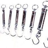 常熟华韵LTZ管型测力计牛顿拉力计管形拉力测力仪200N弹簧拉力仪