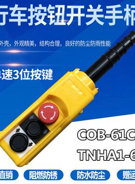 行车按钮开关COPC-AP1吊车按钮起重机按钮盒手电门 货车尾板按钮