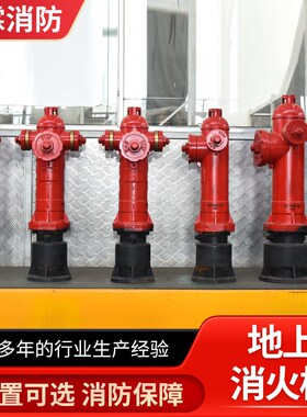 消火栓防冻防撞调压快开型SSFT100/6E5SSFW150/80 地上消火栓