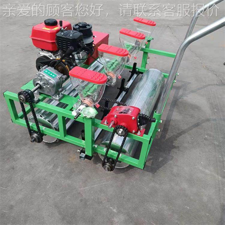 汽精油手推是种蔬菜播种机葱油菜YTY播机 小颗大粒种子播机