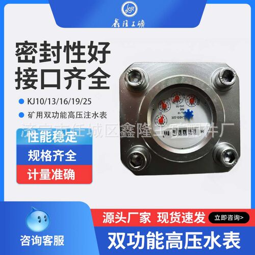煤层住水表 高压水表 双功能高压水表 ZGS6型/煤层注水SGS型矿用