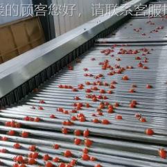 圣分女果西红柿分量级机全自动滚杠式柑橘FHX芒重拣机猕猴桃分果