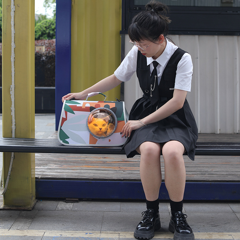 宠物用品猫e包 外出透明太空罩航空箱 小型猫咪手提包宠物背包