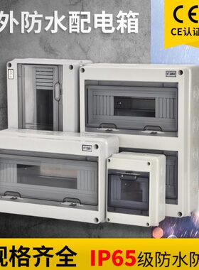 漏电开关HT-5防水盒室外使用塑料防雨小型回路空开盒子12P明装
