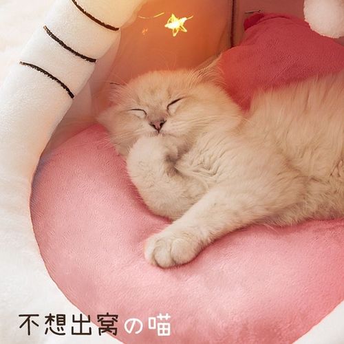 猫窝四季通用猫房子宠物窝可拆洗半封闭式冬季保暖网红猫屋猫咪床