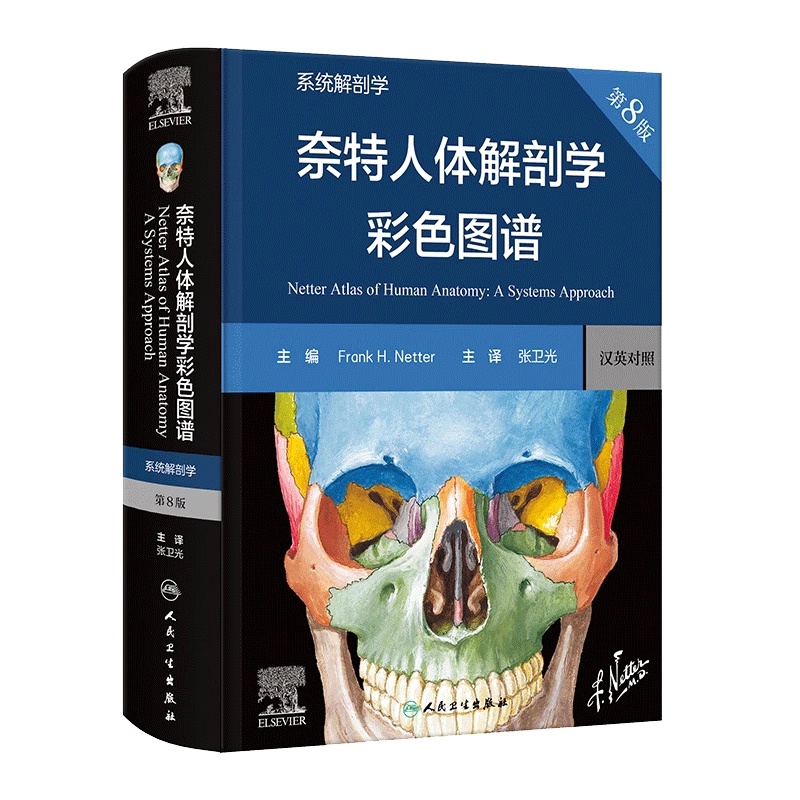 奈特人体解剖学彩色图谱 系统解剖学 第8版K