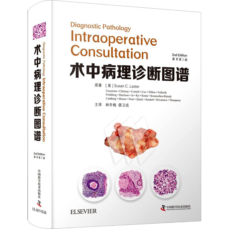 术中病理诊断图谱 原书第2版 中国科学技术出版社 (美)苏珊·C.莱斯特 著 林冬梅,薛卫成 译