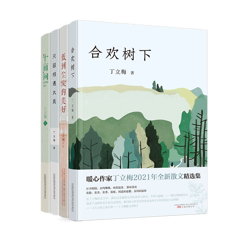 丁立梅散文精选集(套装四册)中考语文热点、暖心作家丁立梅散文合集丁立梅万卷出版公司儿童读物/童书/儿童文学