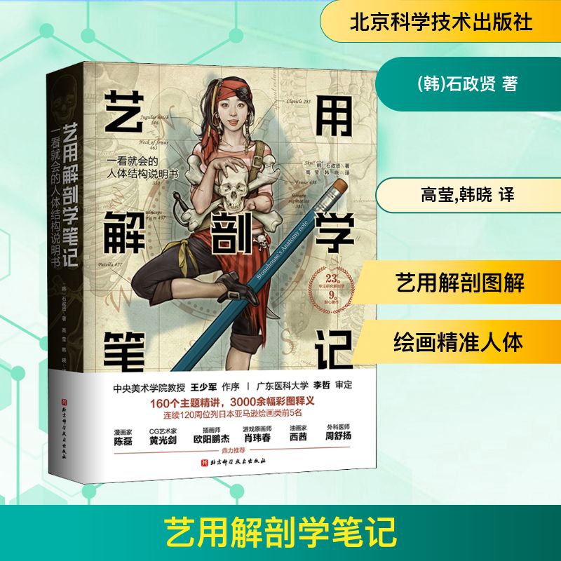 艺用解剖学笔记 北京科学技术出版社 (韩)石政贤 著 高莹,韩晓 译