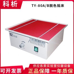 80B实验室脱色摇床水平回旋上下摇摆 江苏科析TY 80A