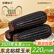 新鲜黑糯玉米2025东北大棒糯玉米8根