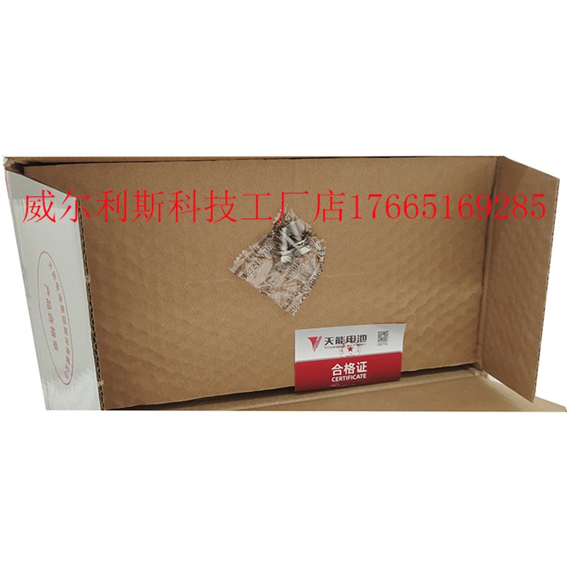 天能1号6-F-106洗地车 叉车 电动汽车 环卫观光车电池 12V106A