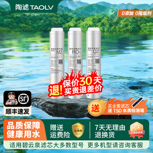 R310 RT507 R311 R302D 适配碧云泉净水器滤芯G7海德堡R305