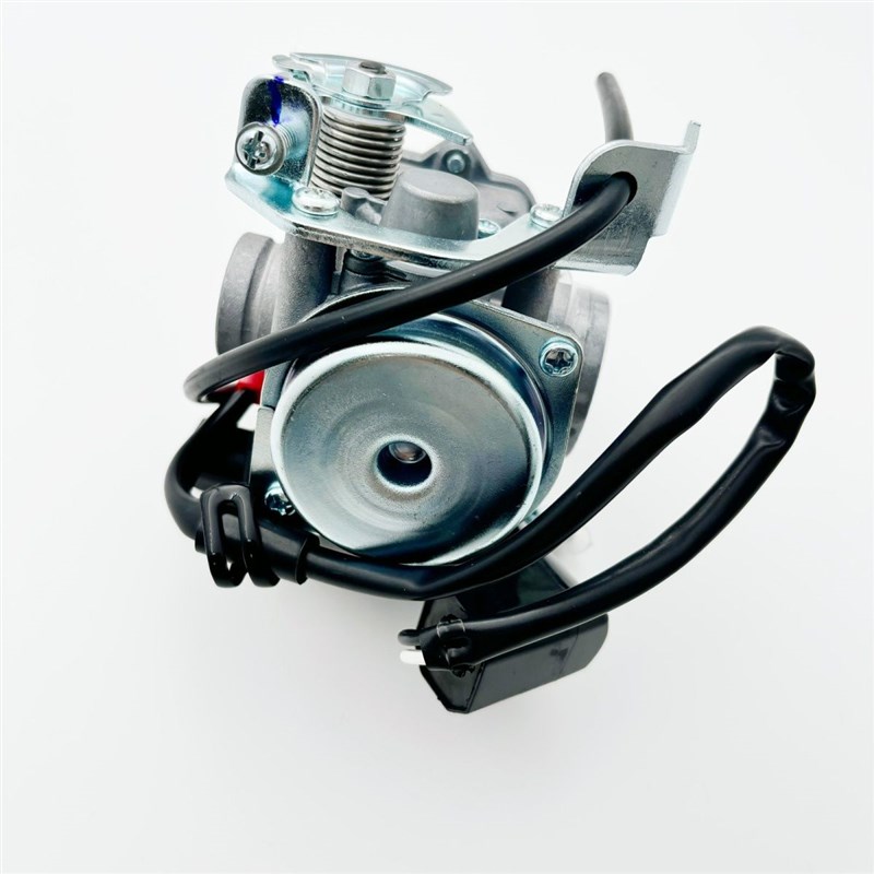 摩托车岭木韵彩100T-B睿彩QS125T-2B-4B丽彩红宝UM125T国三化油器