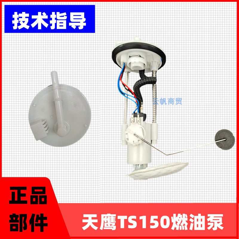 适用于天鹰TS150特仕版 TCS版踏板摩托车水冷ABS电喷燃油泵总成