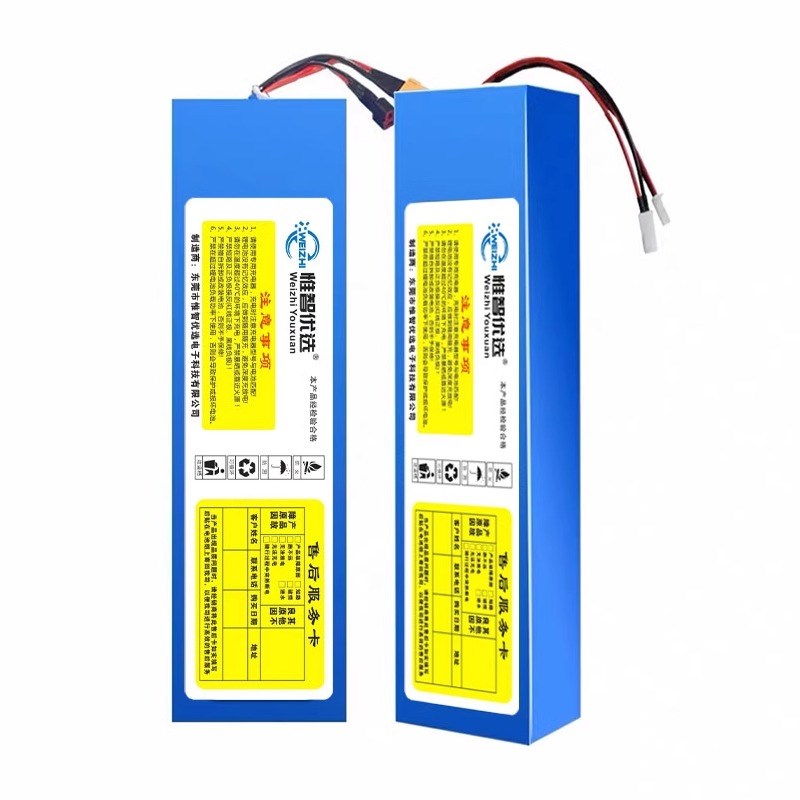 电动车锂电池48V10a12a滑板车36V喜德盛电瓶车60V15a希洛普锂电池