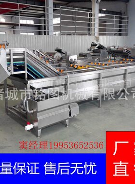 厂家直供 黑木耳气泡清洗机 紫苏叶清洗设备 菠菜气泡清洗设备