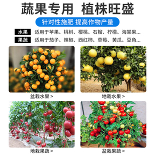 果树专用肥有机水溶肥料盆栽复合肥蔬菜葡萄嘉宝果金弹子桔子瓜果