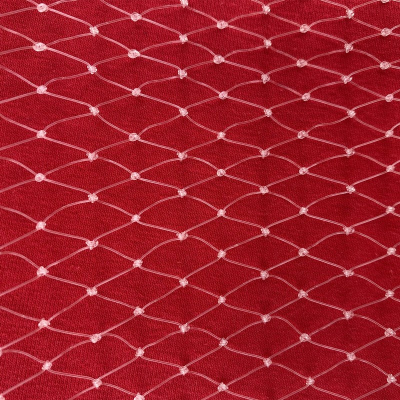 果园防鸟网果树樱桃葡萄梨树蓝莓园防鸟用的网泥鳅鱼塘天网养殖网