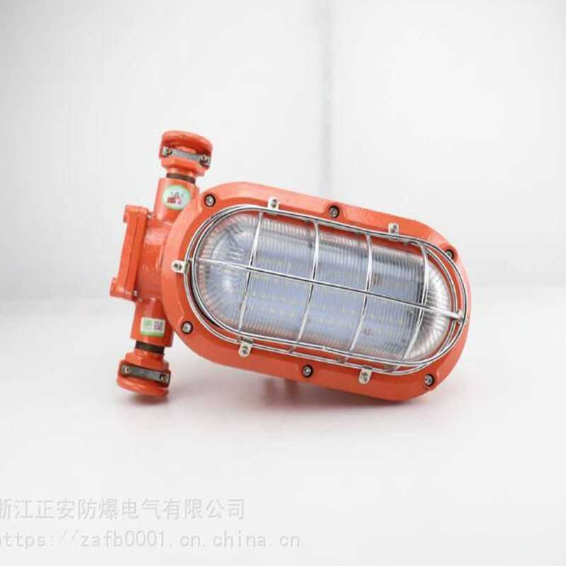 DGC18/127L(A)矿用隔爆LED支架灯 18W 20W 22W 24W 支架灯