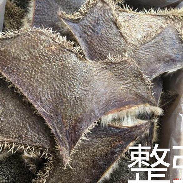 新货优质刺猬刺皮整张晒干生猬皮售炒猬皮刺猬刺专卖