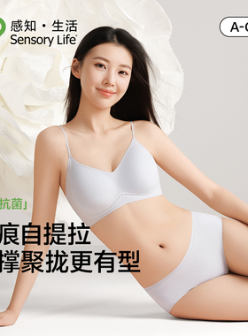 Sensory Life内衣女山茶花无痕小胸聚拢提拉收副乳防下垂文胸罩