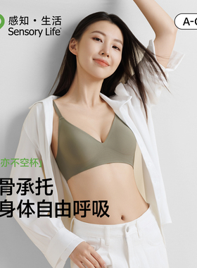 Sensory Life 内衣女法式性感深V支撑聚拢显大防下垂三角杯文胸罩