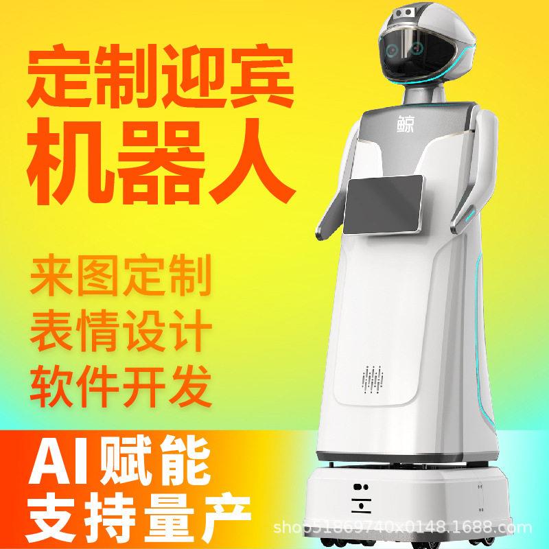 外观定制开发IP服务机器人数字人私网大语言模型智能对话机器人