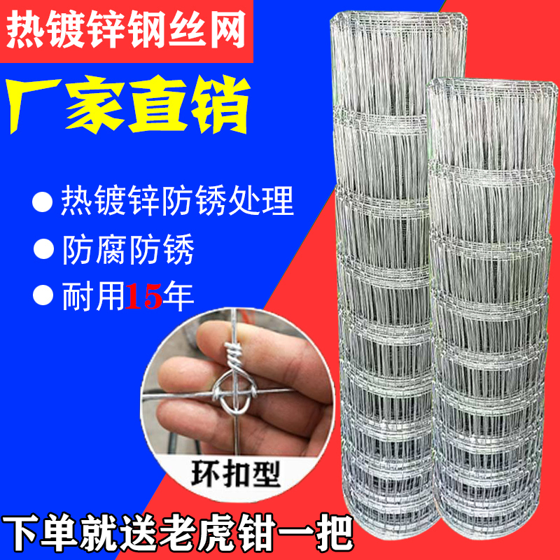 镀锌防锈铁丝网养殖围栏网围牛羊拦网钢丝网N果园隔离围网栏网栅