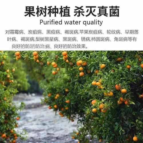 硫酸铜溶液杀菌剂农用果树配波尔多液晶体蓝矾泳池灭藻除青苔鱼塘