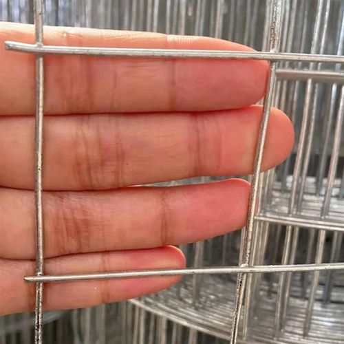 防鼠家用养殖小鸡鸭笼子铁丝网片小格加密围栏铁网格网小孔护栏网