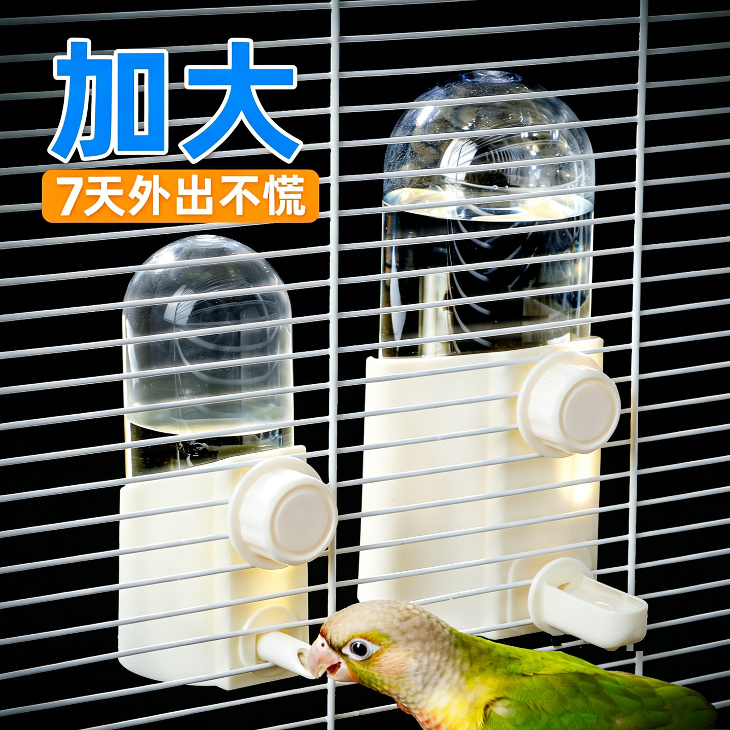 spiritpets鹦鹉撞针饮水器实用
