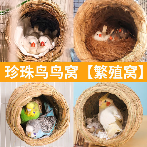 spiritpets珍珠鹦鹉繁殖鸟窝
