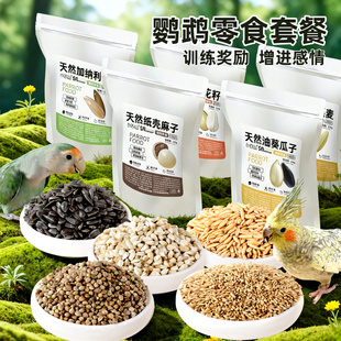 鹦鹉零食麻子加纳利子油葵瓜子玄凤牡丹虎皮鸟粮粮食奖励红花籽