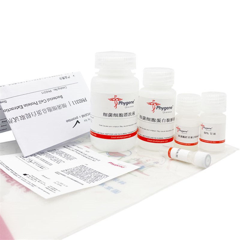 细菌细胞总蛋白提取试剂盒 50T 科研实验试剂 [PH0311 PHYGENE]