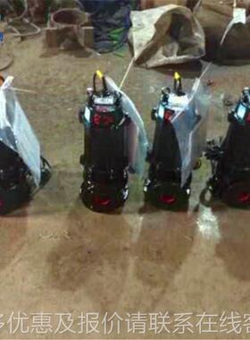 水HPM泵污5100100-15-7.型立式无 堵塞水泵 防爆潜水泵